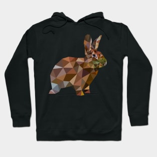 Rabbit Hoodie